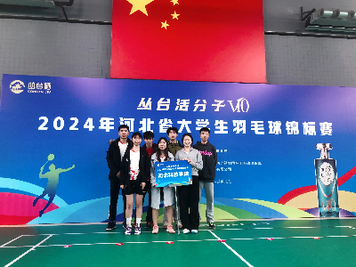 羽毛球比赛